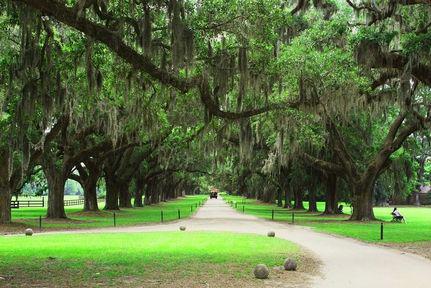 Homewood By Hilton Charleston - 3*
